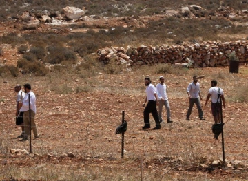 Settlers uproot dozens of trees and attack citizens in Beit Ummar