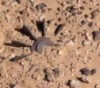 The hand of a young man was amputated by the explosion of a mine left by the occupation army