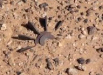 The hand of a young man was amputated by the explosion of a mine left by the occupation army