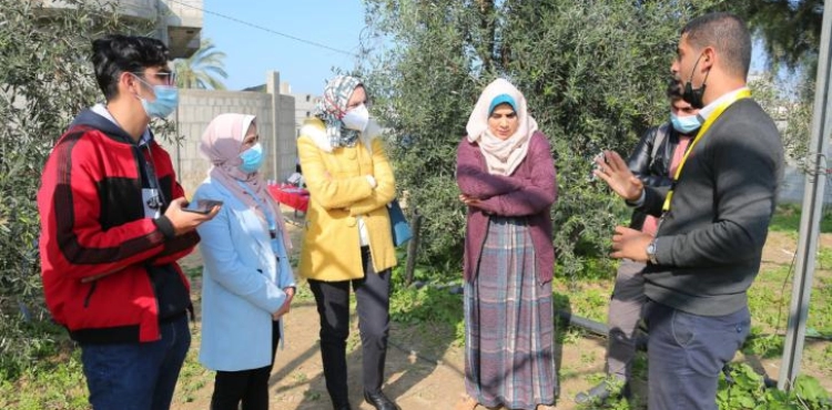 Gaza: University graduates implement the &quot;Return to the Land&quot; initiative for organic farming