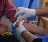 6 deaths and 313 new cases of corona were recorded in Gaza