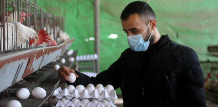 Gaza: 3 deaths and 285 new cases of Corona