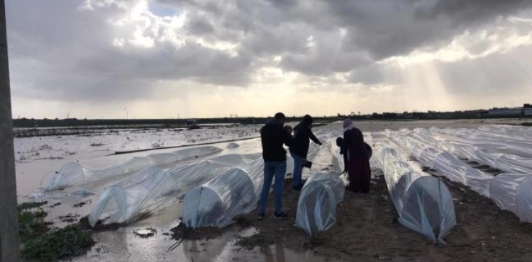 The occupation harms Gaza&acute;s farmers after opening the dams
