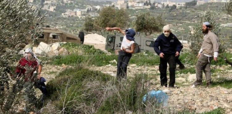 44 settler attacks against Palestinians during a month in the West Bank