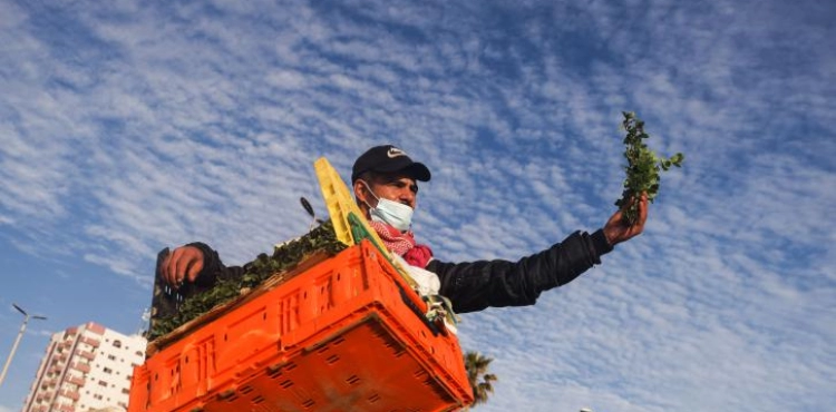 Two deaths and 327 new cases of corona in Gaza