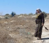 IOF uprooted 200 olive trees from the land of Beit first