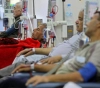 Gaza: About 2000 cancer cases are recorded annually