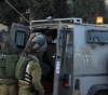 The arrests of Thursday dawn in the West Bank