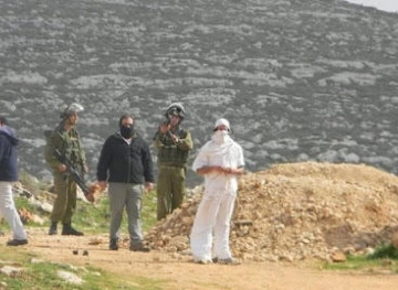 Settlers spray agricultural lands in Khirbet Tana with toxic materials