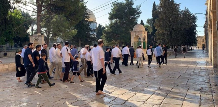 Settlers storm the Al-Aqsa Mosque