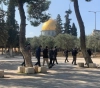 Settlers try to enter &quot;temple maps&quot; after their storming of Al-Aqsa
