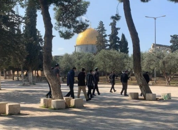 Settlers try to enter &quot;temple maps&quot; after their storming of Al-Aqsa