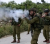 The &quot;Arab Jurists&quot; calls on the International Criminal Court to open an investigation into Israel&acute;s crimes against the Palestinians