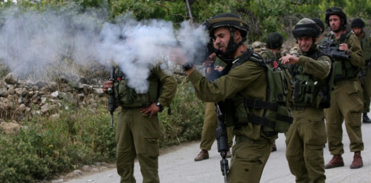 The &quot;Arab Jurists&quot; calls on the International Criminal Court to open an investigation into Israel&acute;s crimes against the Palestinians