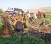 A martyr and two wounded, ran over by a settler&acute;s car in the northern Jordan Valley