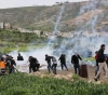 The occupation strikes a number of citizens during marches in separate areas of the West Bank