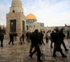 50 settlers Storm Al-Aqsa mosque