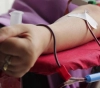 Gaza: Warning against anemia weak blood injection
