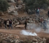 Injuries during the occupation&acute;s suppression of two marches in Kafr Qadum and Beit Dajan