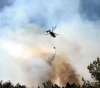 Gaza: The occupation sprays toxic pesticides on agricultural lands