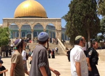 89 settlers storm Al-Aqsa and carry out provocative tours