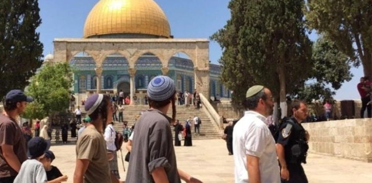 89 settlers storm Al-Aqsa and carry out provocative tours