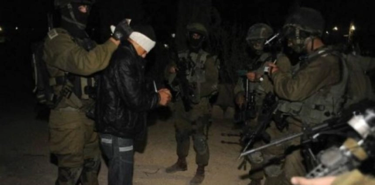 The occupation arrested a young man from eastern Qalqilya