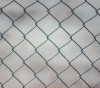 11 Palestinian women in israeli jails