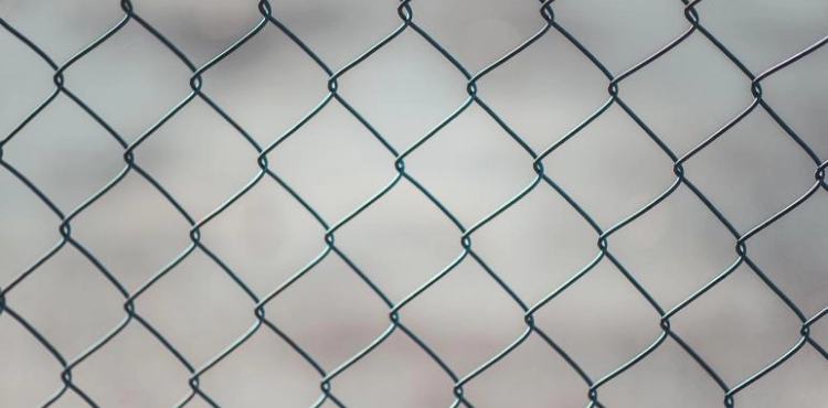 11 Palestinian women in israeli jails