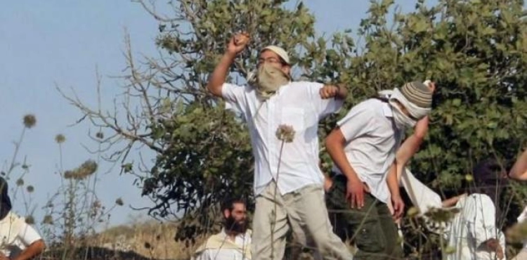 Boy injured by settler attacks on him in Jerusalem