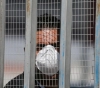 Gaza: 2 deaths and 196 cases of corona