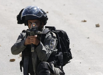 Injuries clashes with the occupation in Tuqu &acute;