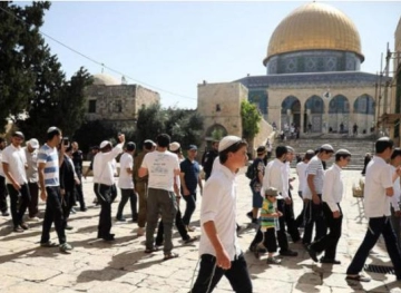 Settlers storm the Al-Aqsa Mosque and the archaeological area in Sebastia