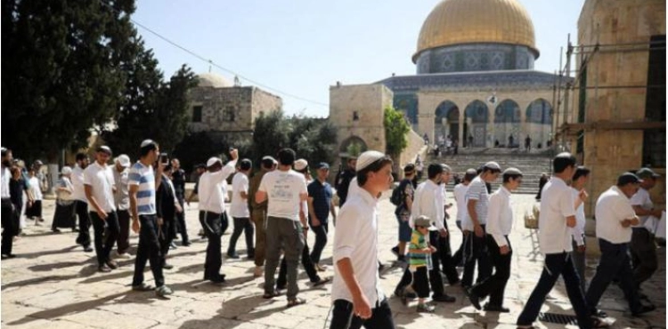 Settlers storm the Al-Aqsa Mosque and the archaeological area in Sebastia