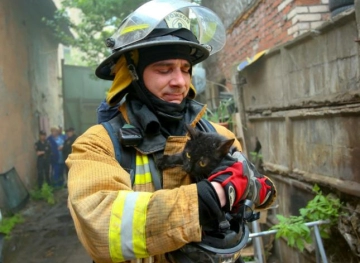 Cats&acute; meows save sleeping residents from fires in Germany