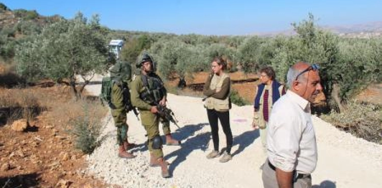The occupation prevents the people of Qarot from splitting an agricultural road