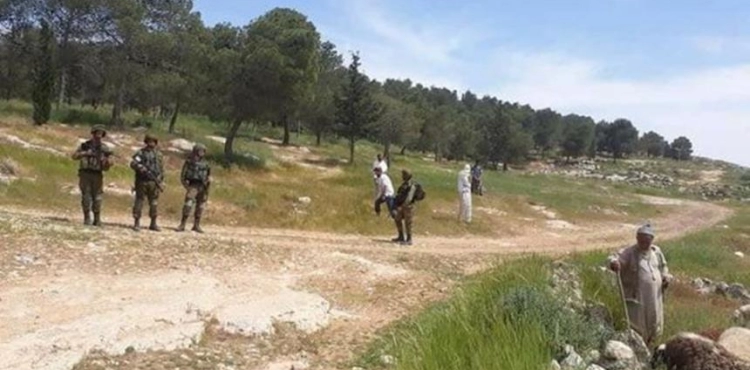 Settlers take over an agricultural road and cut down olive trees in Salfit