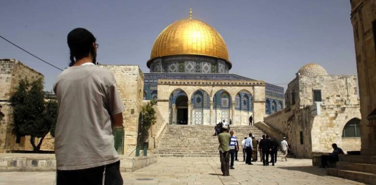 313 settlers storm Al-Aqsa Mosque