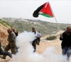 Clashes during the suppression of the event marking Earth Day in Sebastia