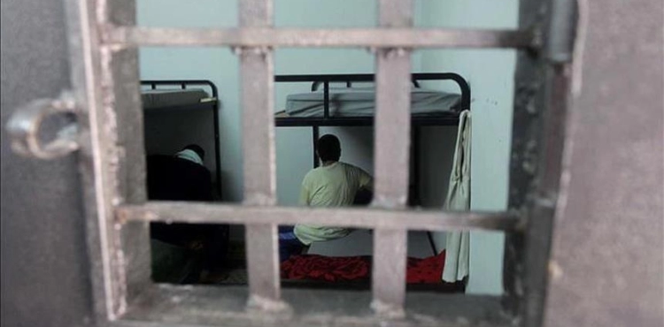 Center: The occupation has carried out 1,300 arrests since the beginning of 2021