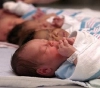 Gaza: More than 10,000 births and 4,000 deaths in the first quarter of 2021
