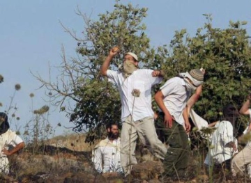 Settlers launch a new attack on the village of Jaloud, south of Nablus