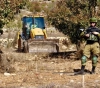 Land Research: The occupation established 388 landfills and uprooted more than 96,000 trees during the year of Corona