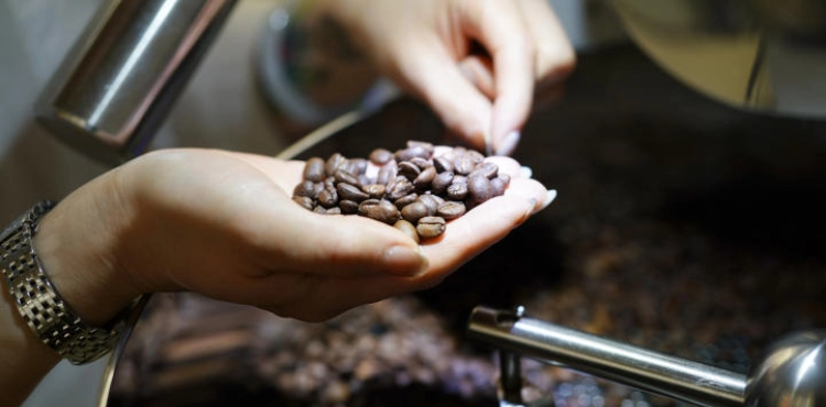 Rediscovering coffee could save its declining industry due to climate change
