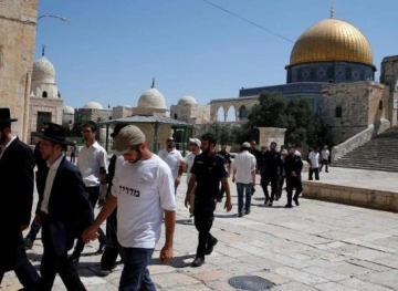 Dozens of settlers storm Al-Aqsa