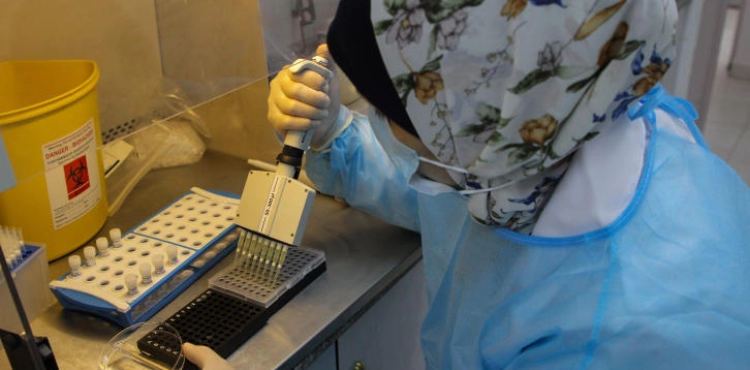Gaza Health: We are seeing a slight decrease in critical and dangerous cases