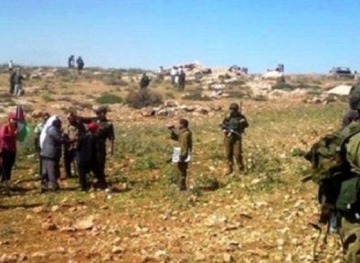 The occupation prevents farmers from harvesting their lands in Hamsa al-Fawqa