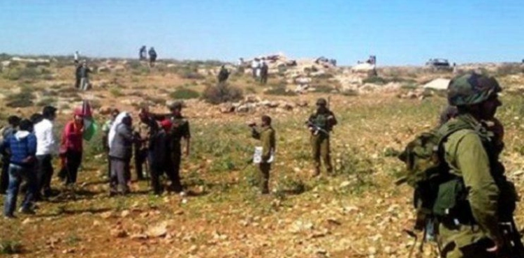 The occupation prevents farmers from harvesting their lands in Hamsa al-Fawqa