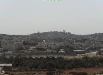 Israeli forces arrest 4 boys from Beit Fajar