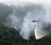 Lebanon .. a fire devouring parts of the largest pine forest in the region